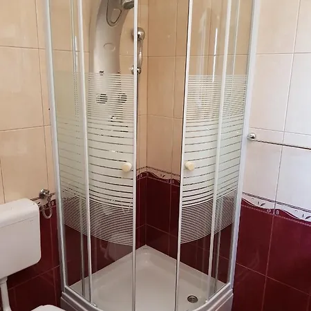 ゲストハウス Vila Ruzin Dvor 3*