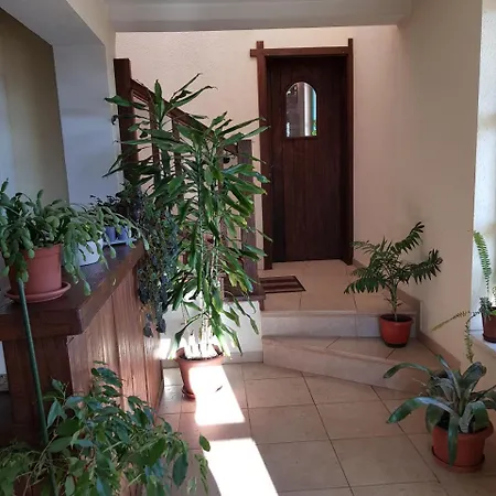 Vila Ruzin Dvor Πανσιόν Imotski